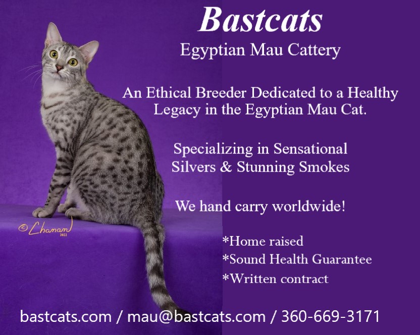 Thank you to Bastcats and John for your support.